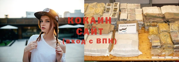 прущая мука Вяземский