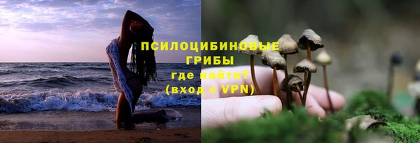 прущая мука Вяземский