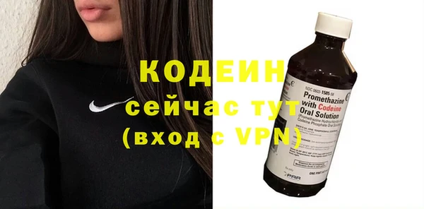 прущая мука Вяземский