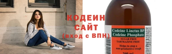 прущая мука Вяземский