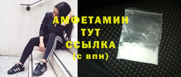 прущая мука Вяземский