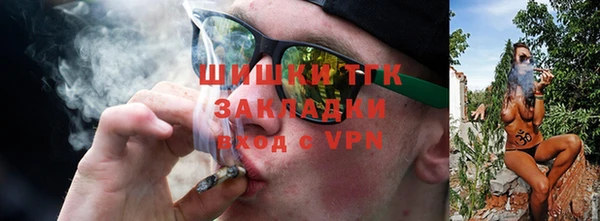 прущая мука Вяземский