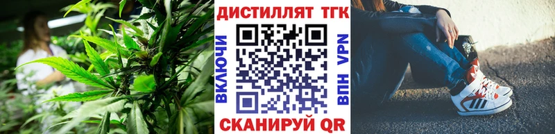 где купить наркотик  Долгопрудный  ТГК жижа 