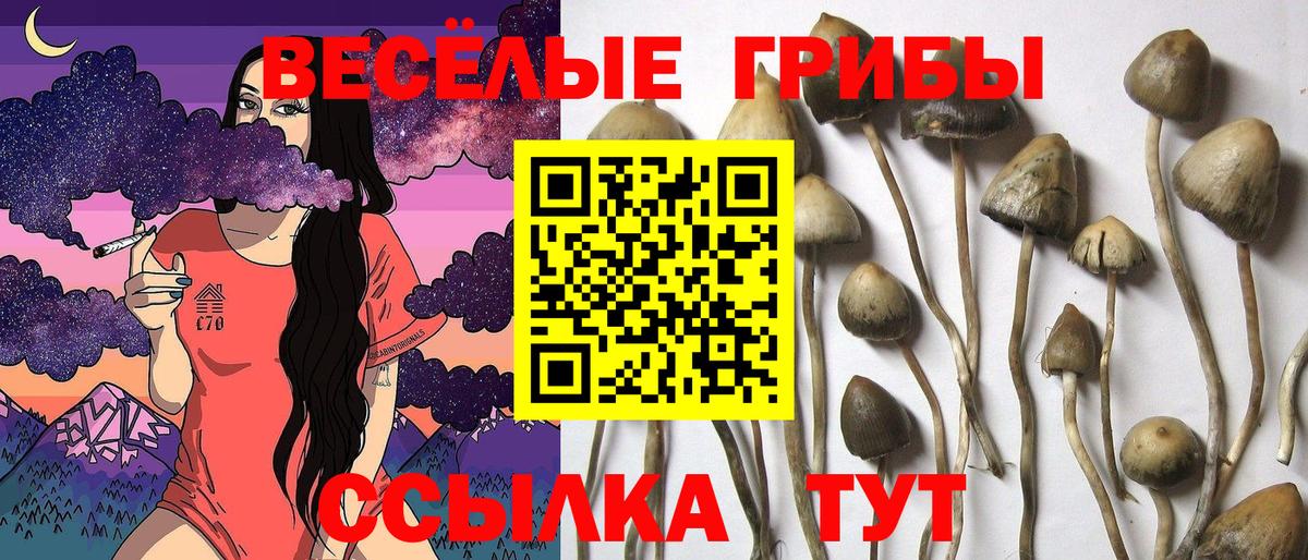 Псилоцибиновые грибы ЛСД  Псилоцибиновые грибы Magic Shrooms  Вход с VPN  Долгопрудный 