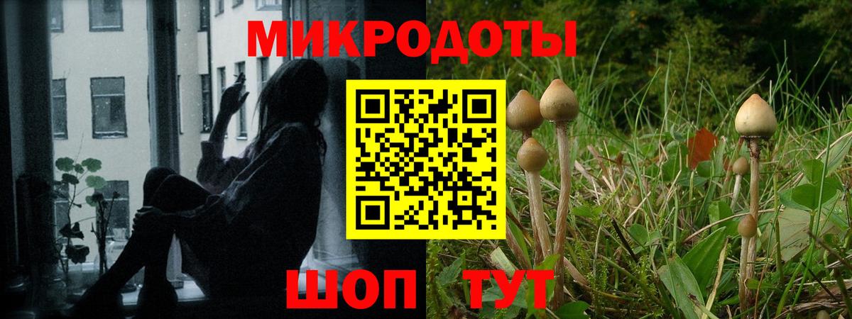 Галлюциногенные грибы Magic Shrooms Долгопрудный